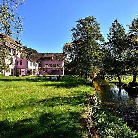 Logis Hotel Des Vosges Sewen Exterior foto